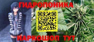 ALPHA PVP Вышний Волочёк
