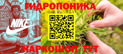 ALPHA PVP Вышний Волочёк